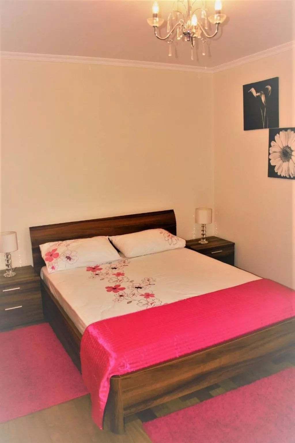 "Silva Sol" mit Blick auf das Wasser-Image-tags.info