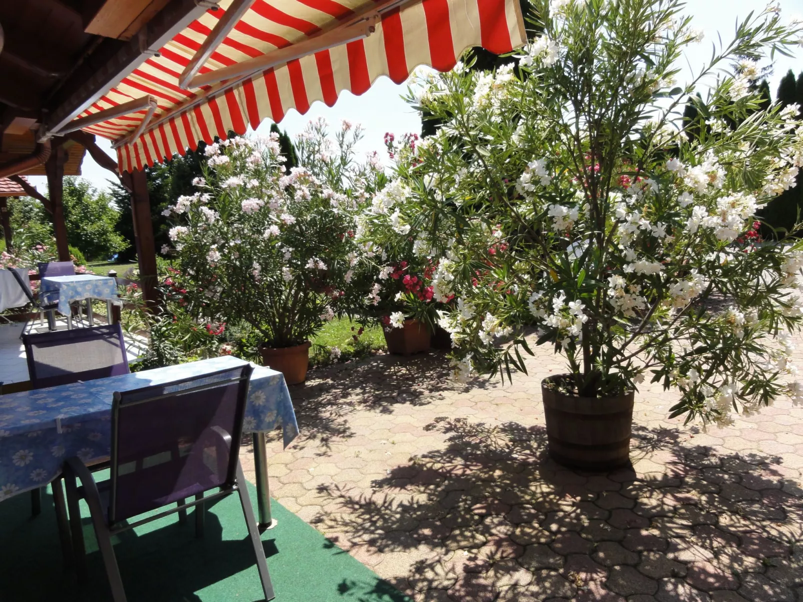 Gemütliche Ferienwohnung für 3 Personen-Buiten