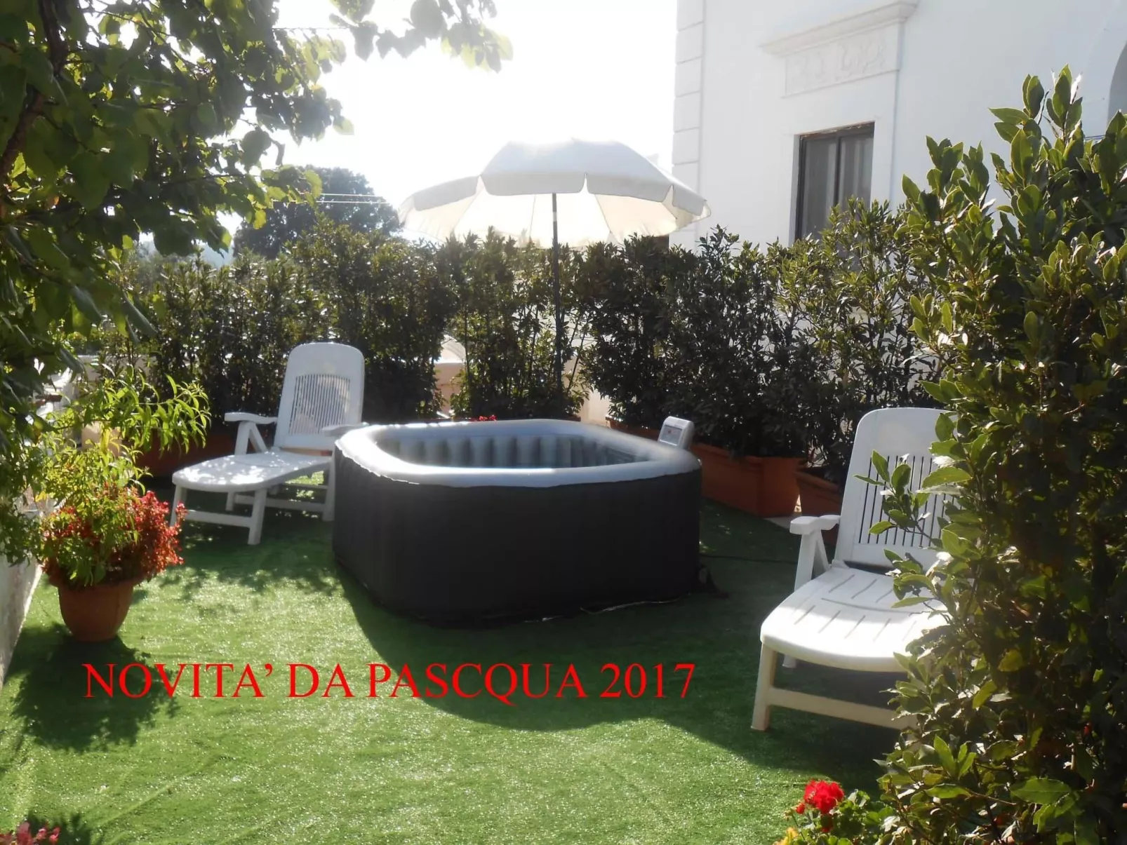 VIOLA-Image-tags.info