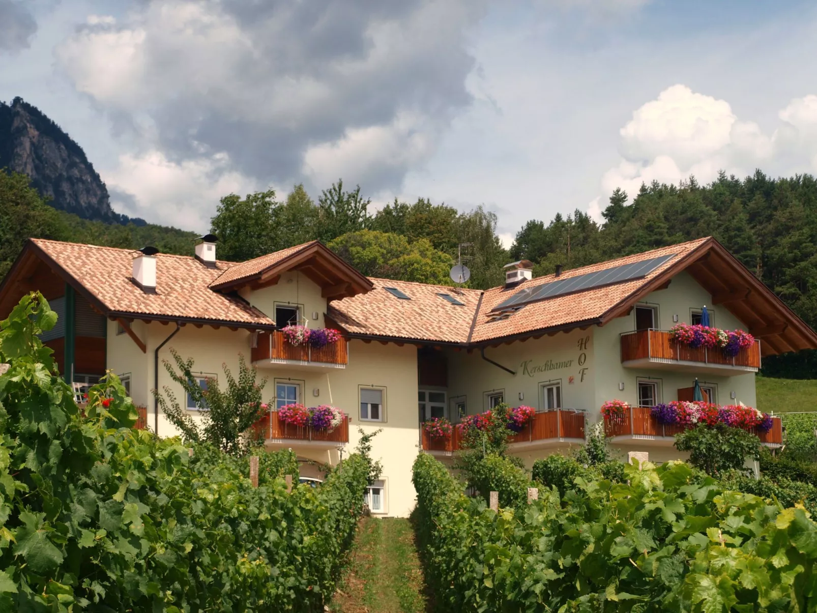 Apartment Merlot in Kurtatsch mit Panoramablick-Buiten