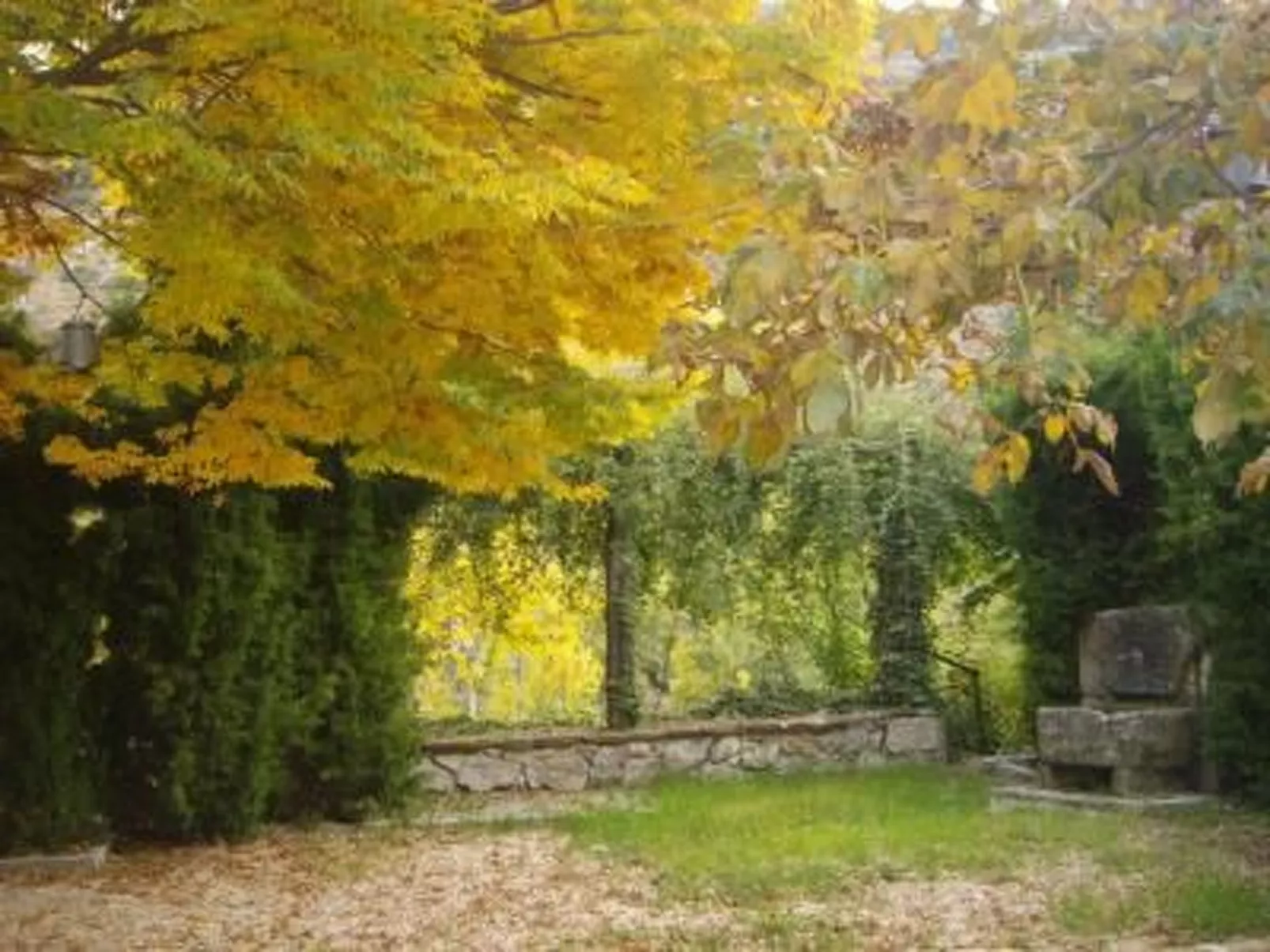 La Casita-Image-tags.info