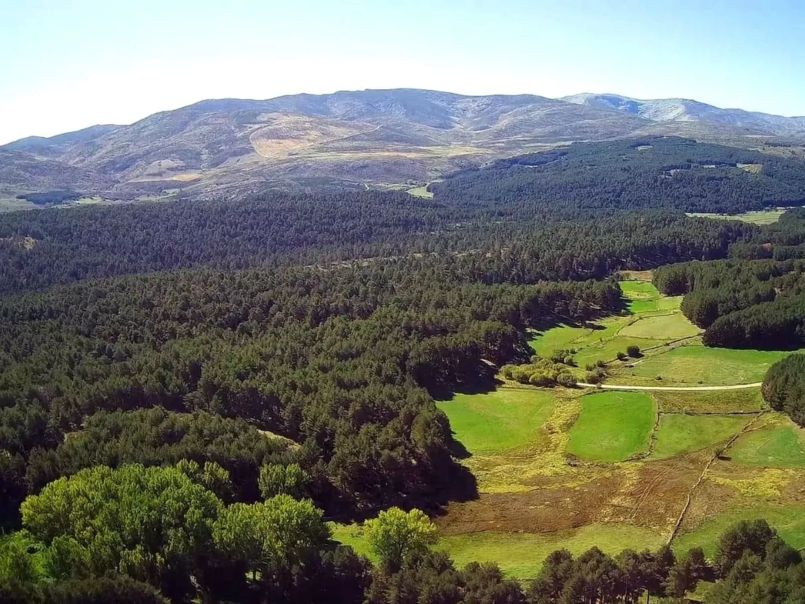 Mitten in der Natur-Buiten