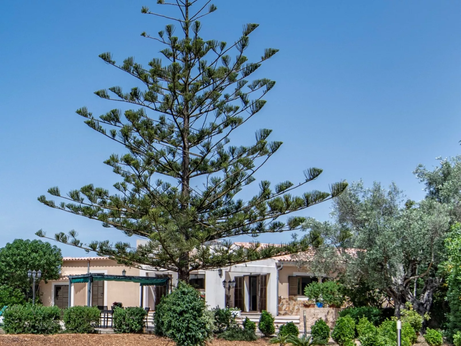 Schöne Villa in Cala Millor, Cala Bona-Image-tags.info