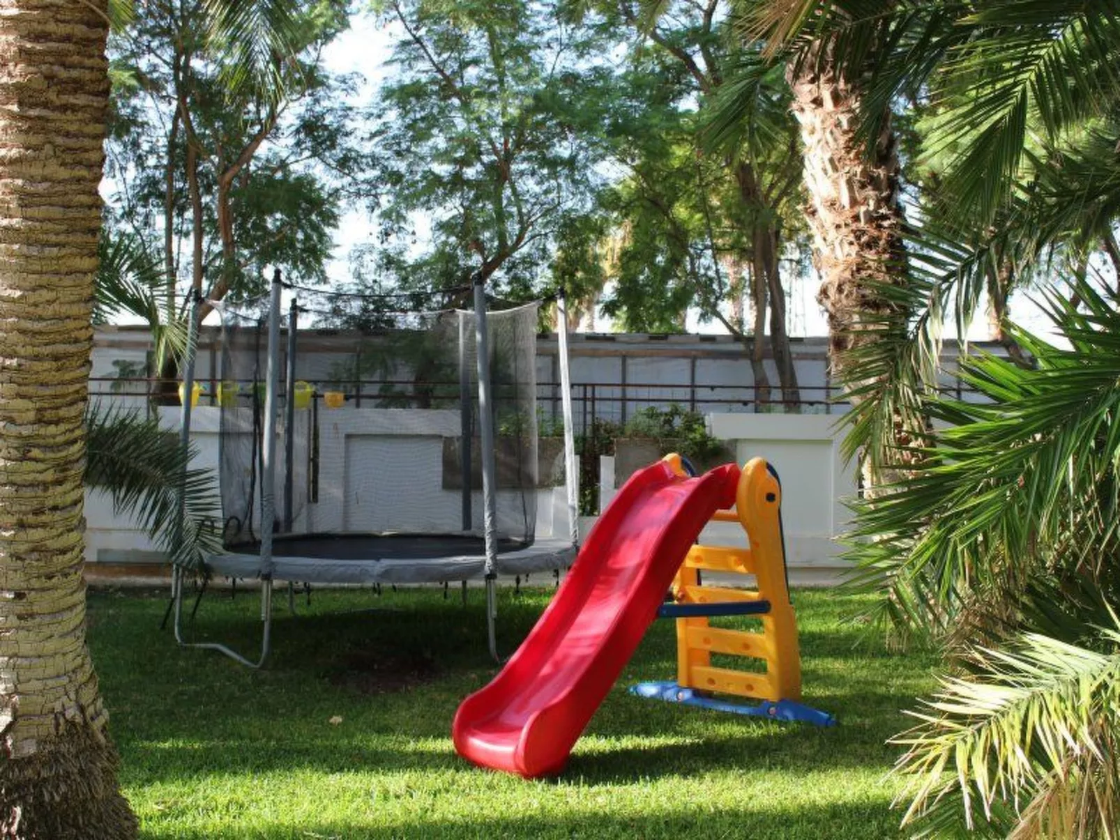 Cuore di Palme Bilo-Buiten