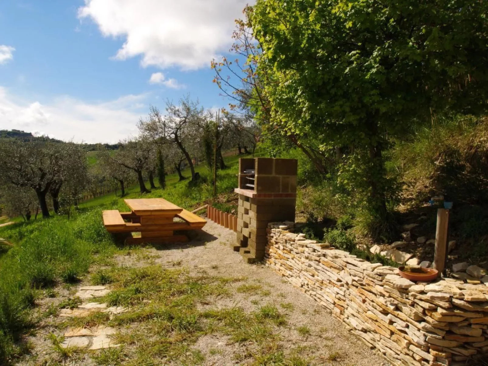 "L'Olivo"-Image-tags.info