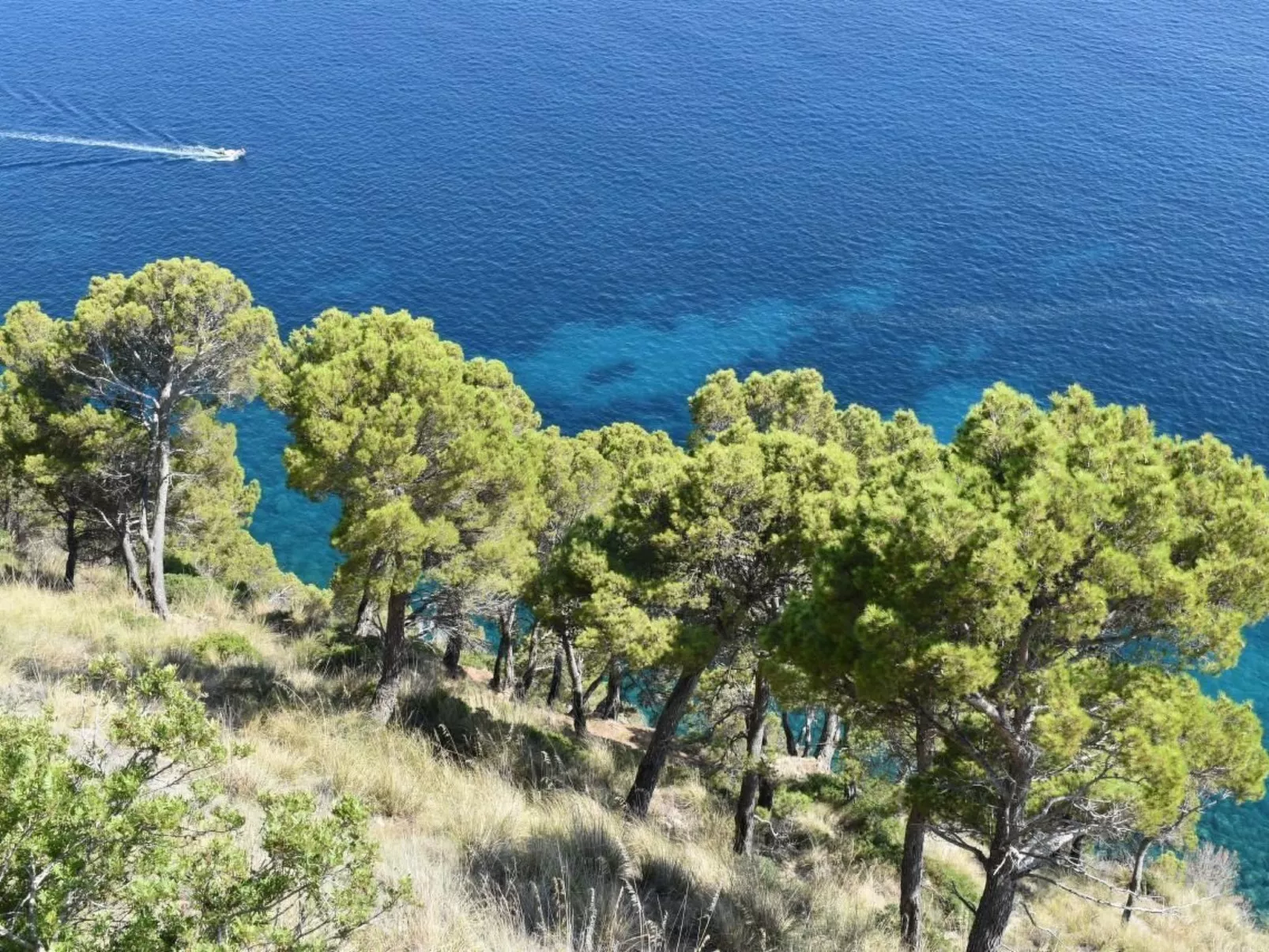 Top Ferienwohnung-Image-tags.info