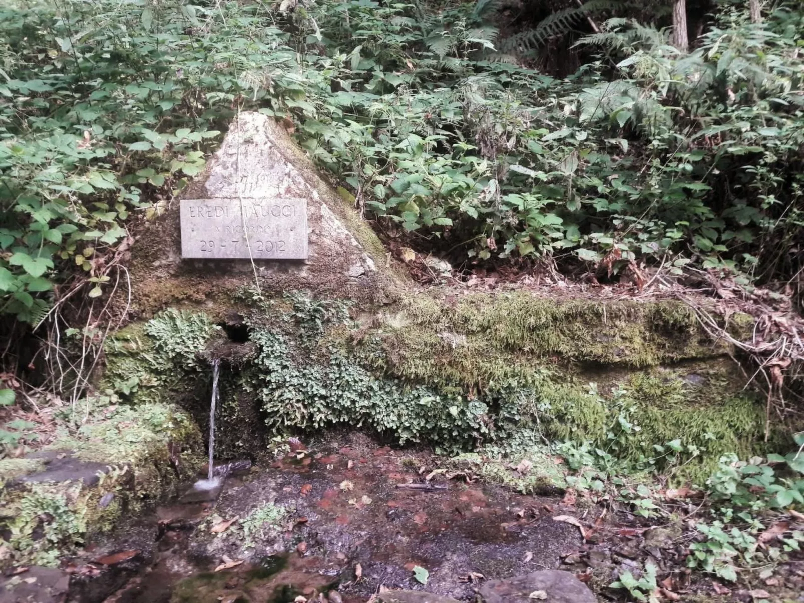CasaMasa' Wohnung mit Bergblick-Buiten
