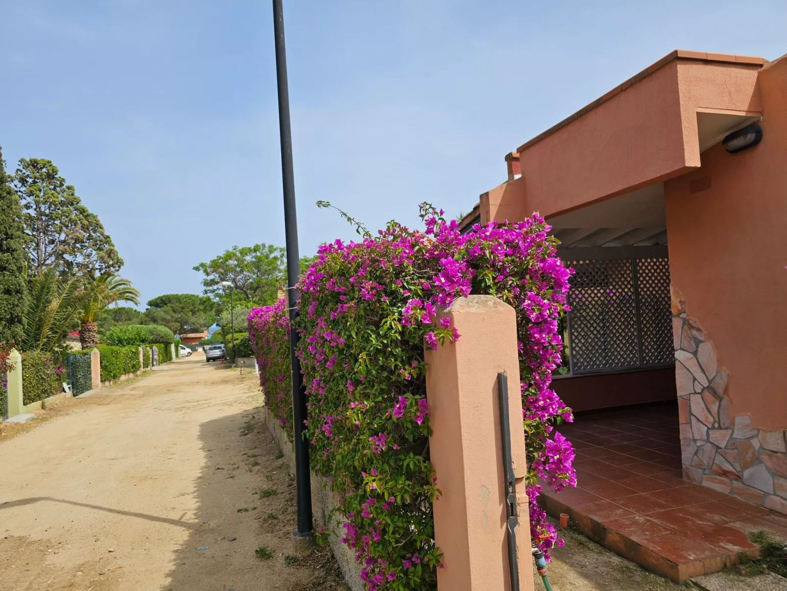 'Trilo Luna-Image-tags.info