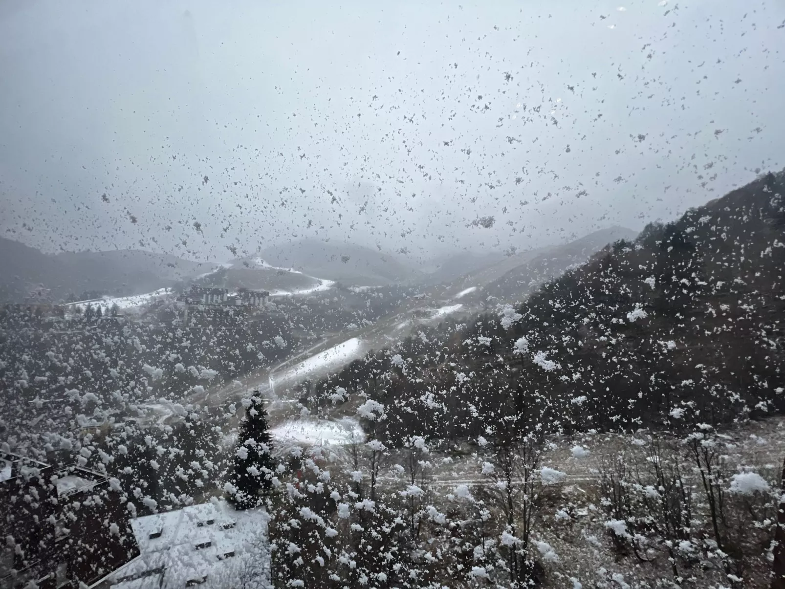 House Betulle by Holiday World-Buiten