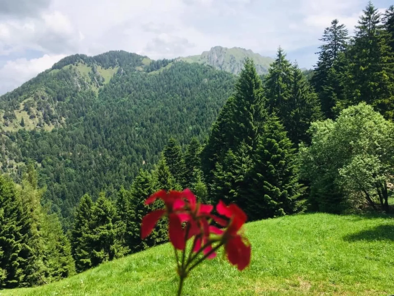 Mit Sauna in Pieve Di Bono-Buiten
