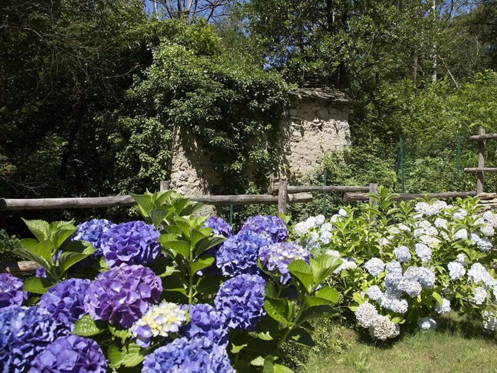 Lampone in San Bernardino Verbano-Buiten