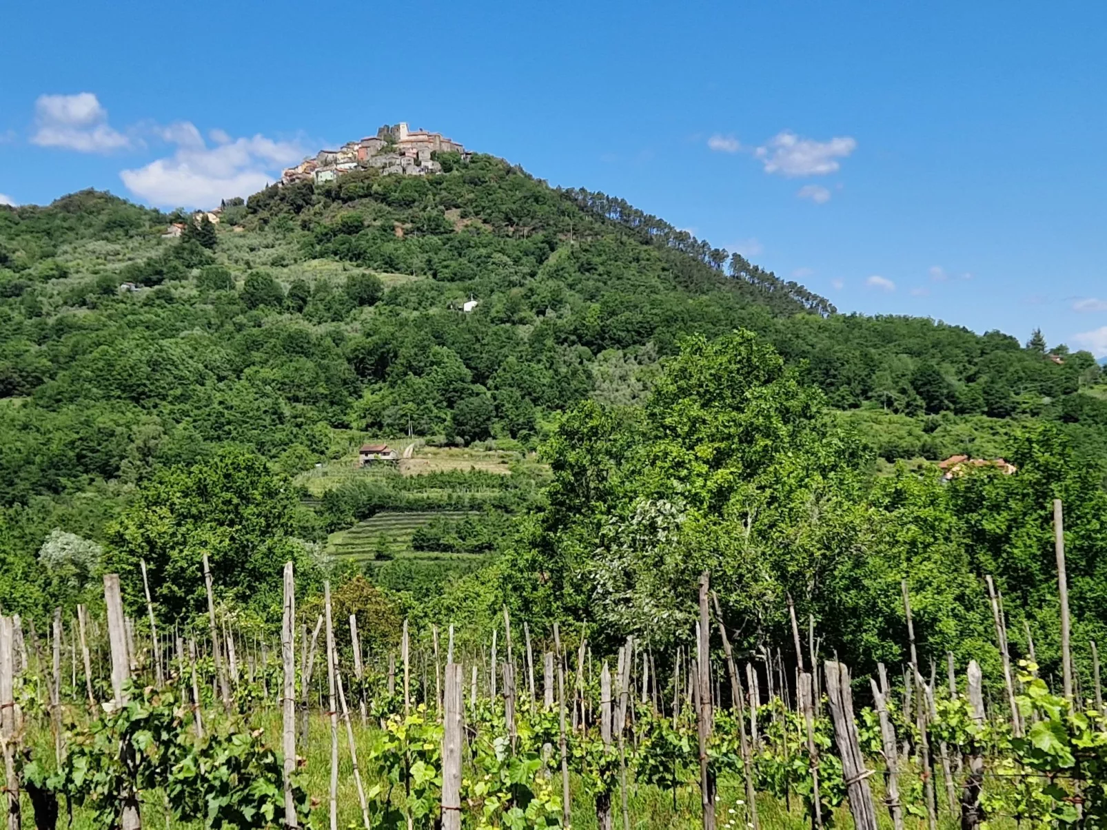Mini-Appartement Casa Colombana mit Panoramablick - Buiten