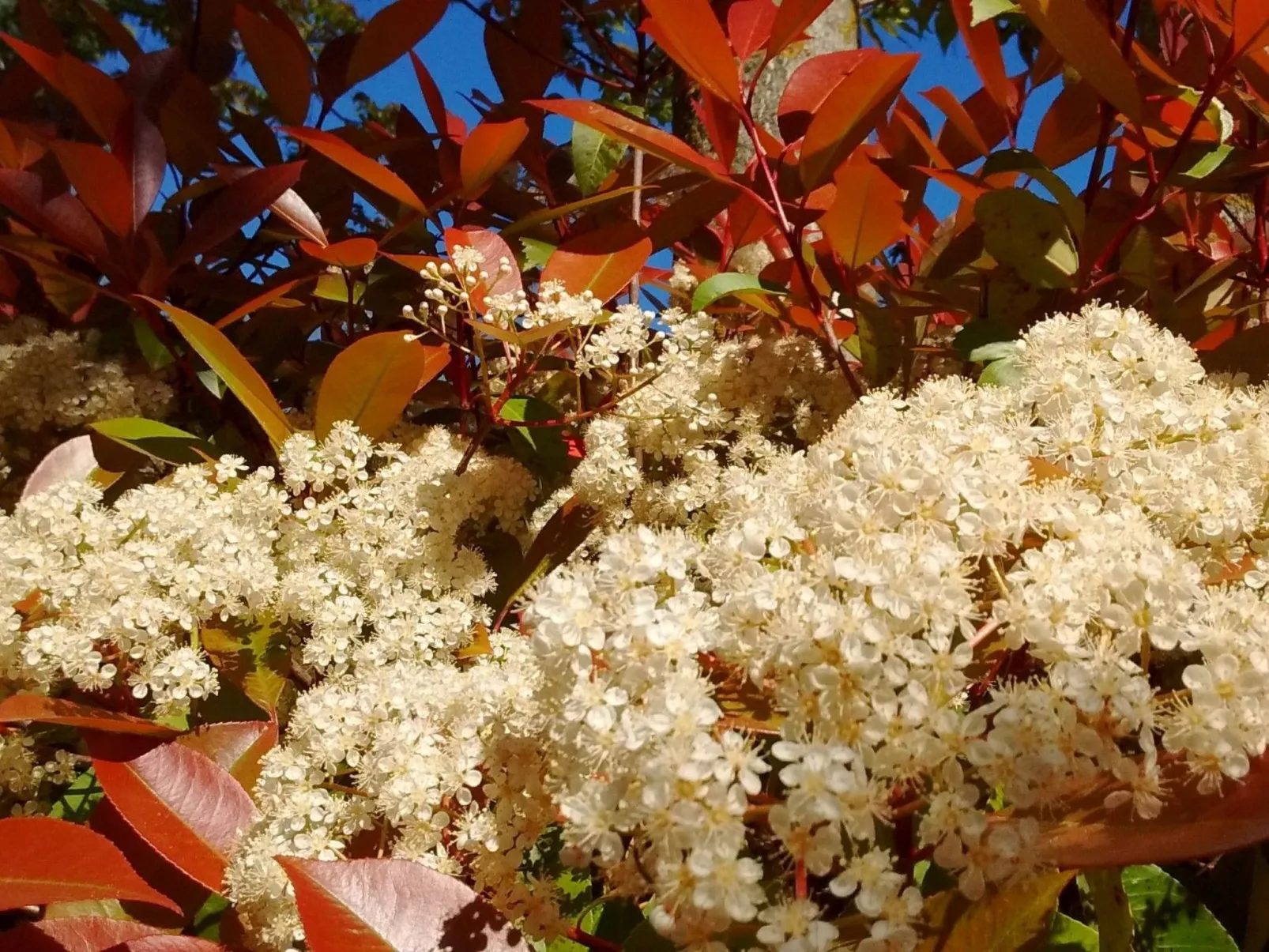 Flacher Pool-Image-tags.info