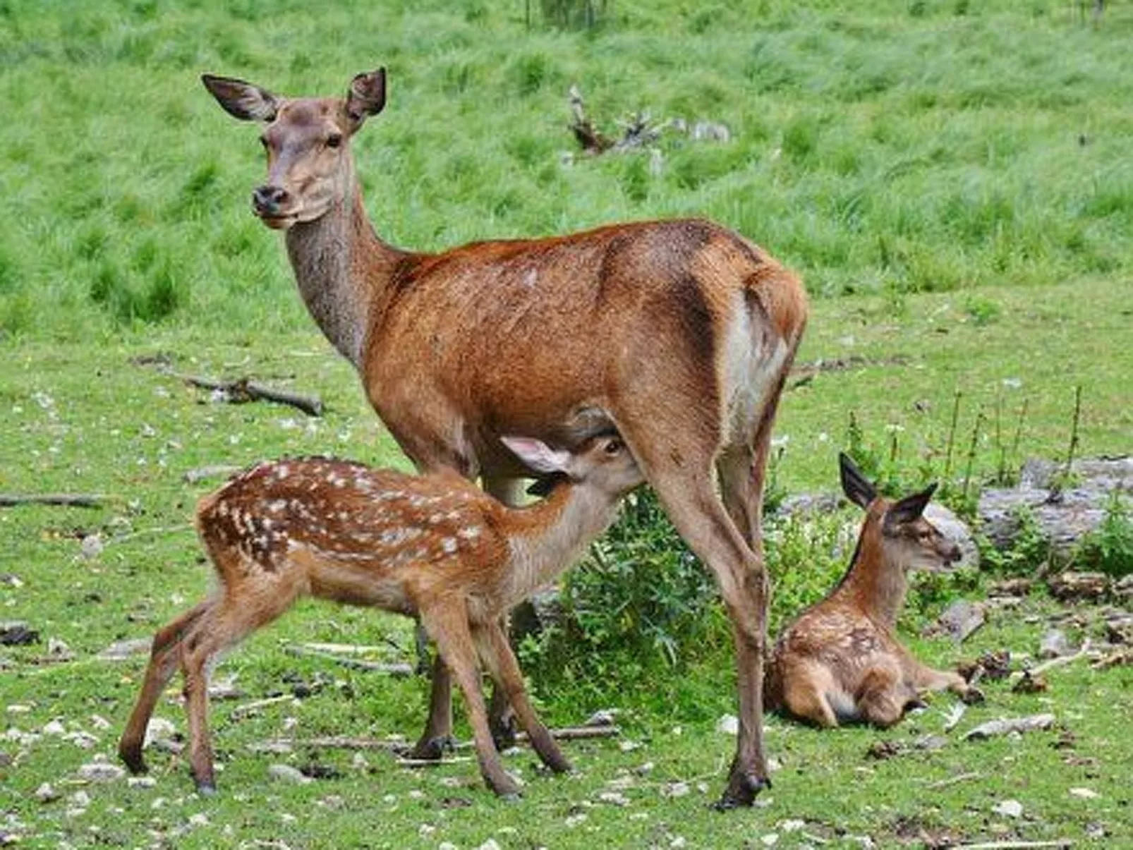 Charmante Lösung, Schwimmbad 10 Minuten vom Meer entfernt-Image-tags.info