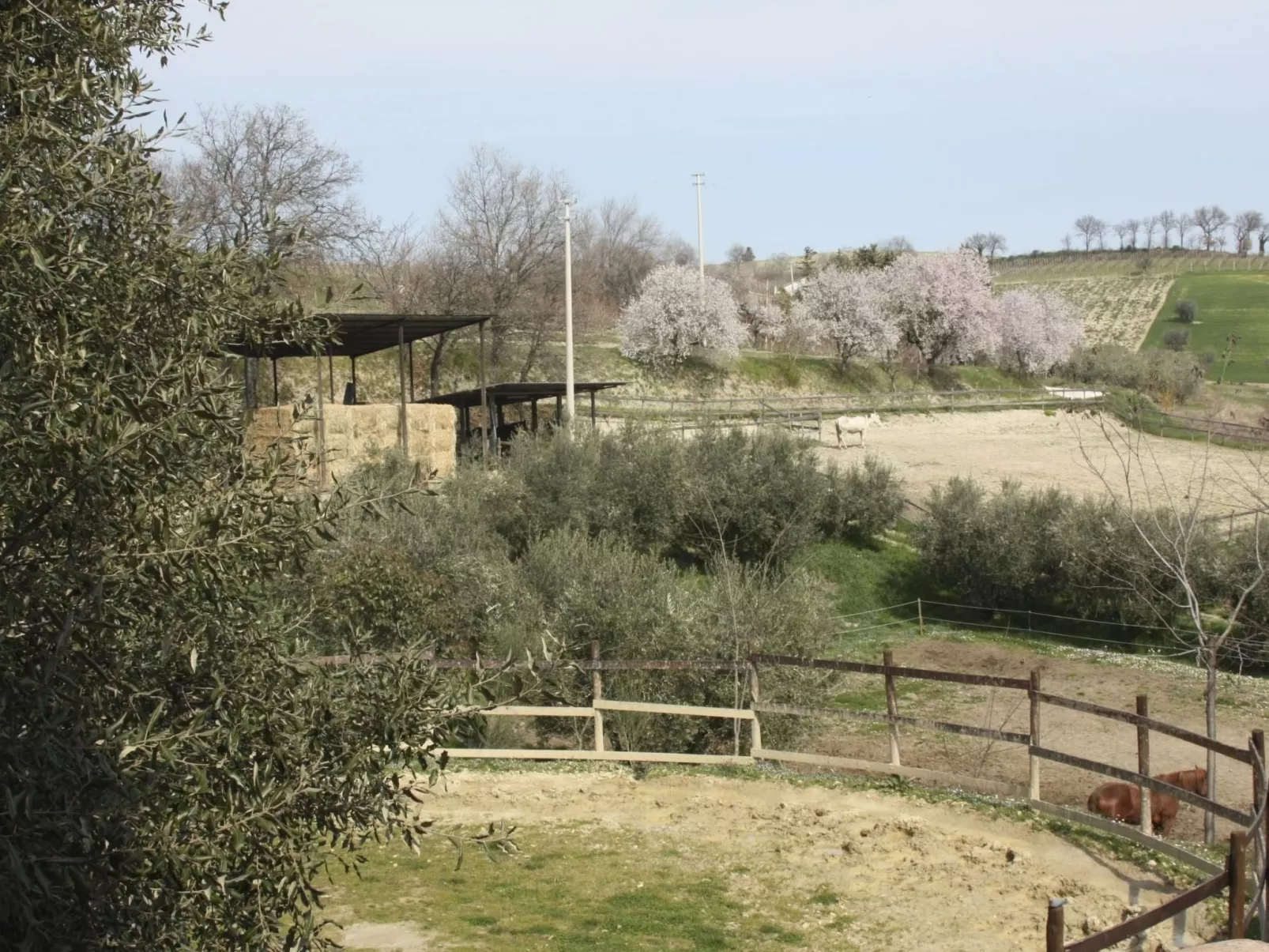 In der Gegend zwischen Meer und Berghang-Image-tags.info