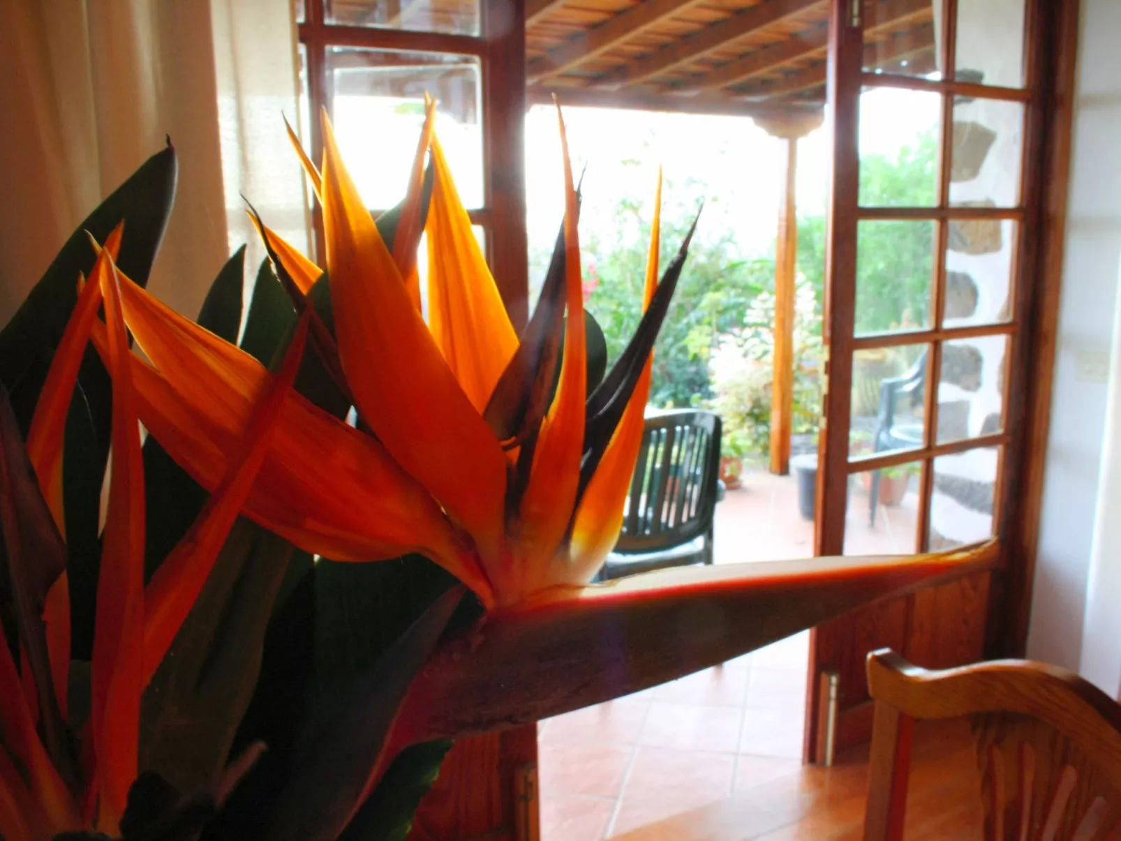 Casa Tanausu - Typisch kanarische Ferienunterkunft-Image-tags.info