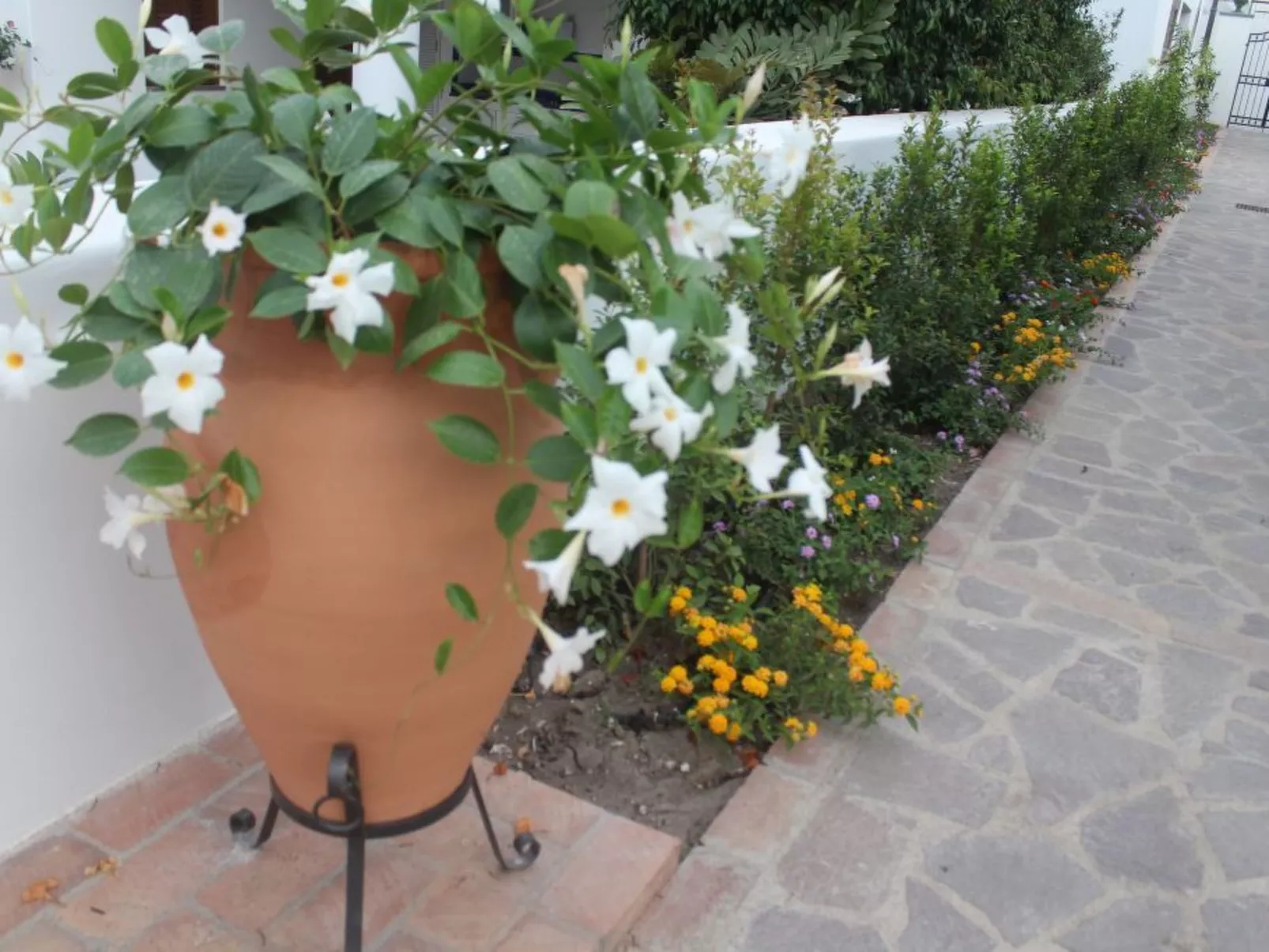 Wohnung 'Blue 236' in Strandnähe-Buiten