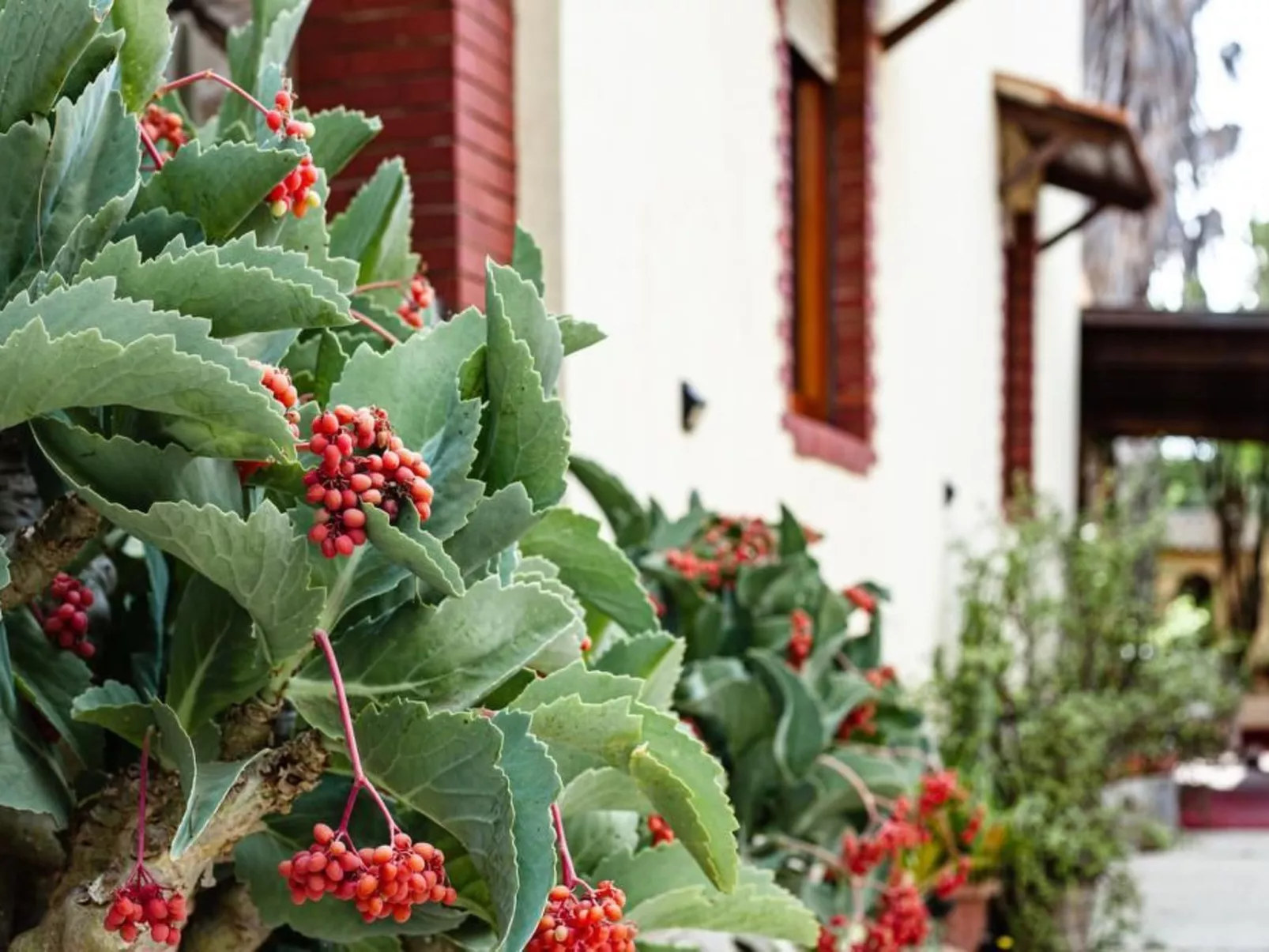 'Villino Caterina-Image-tags.info