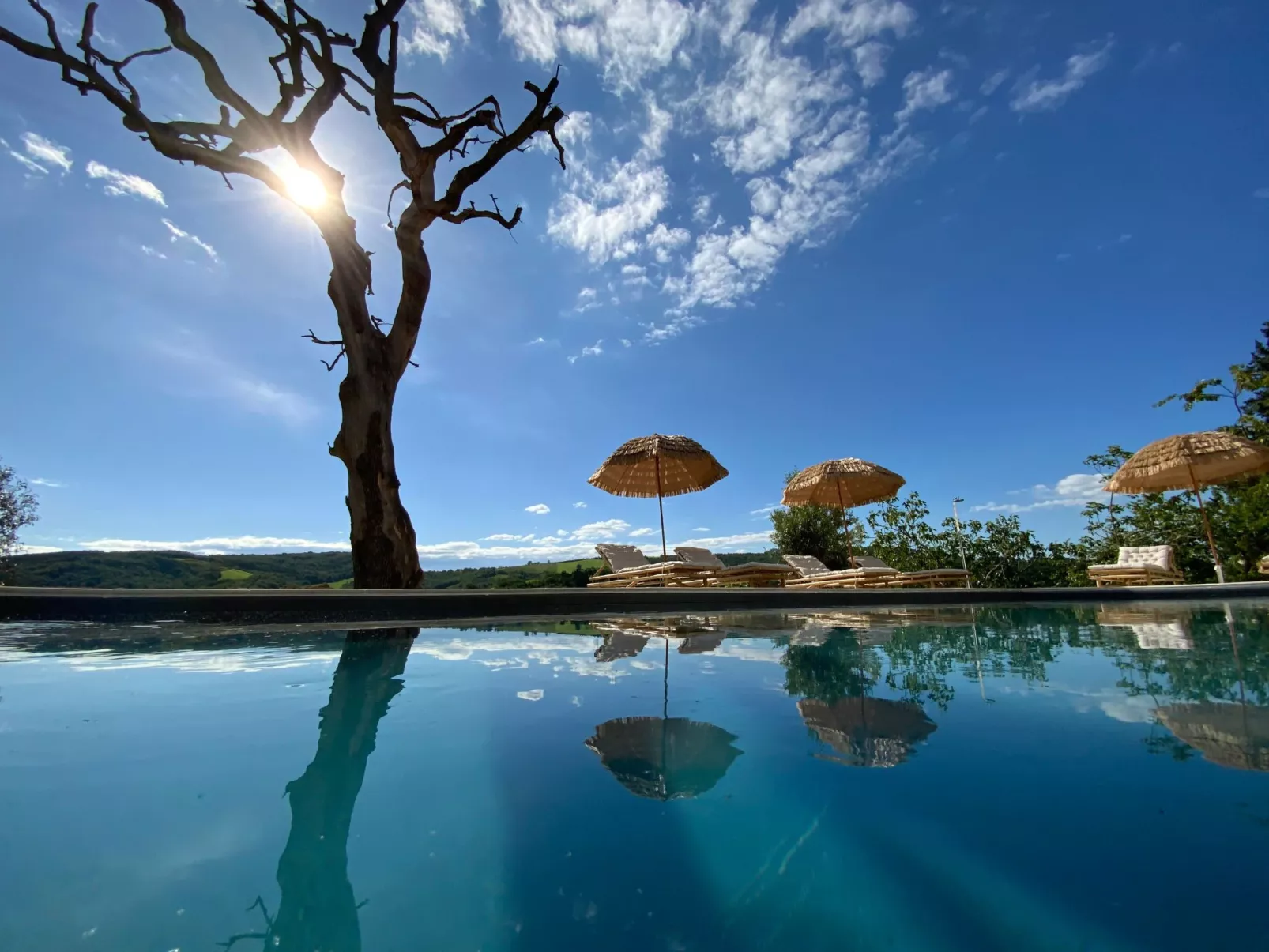 Monte Pino-Image-tags.info