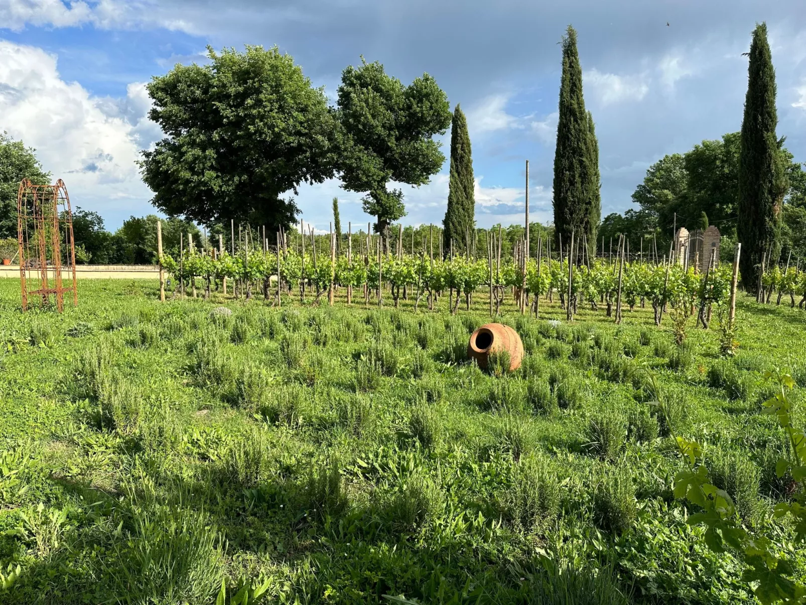 Apartment Vigneto-Buiten