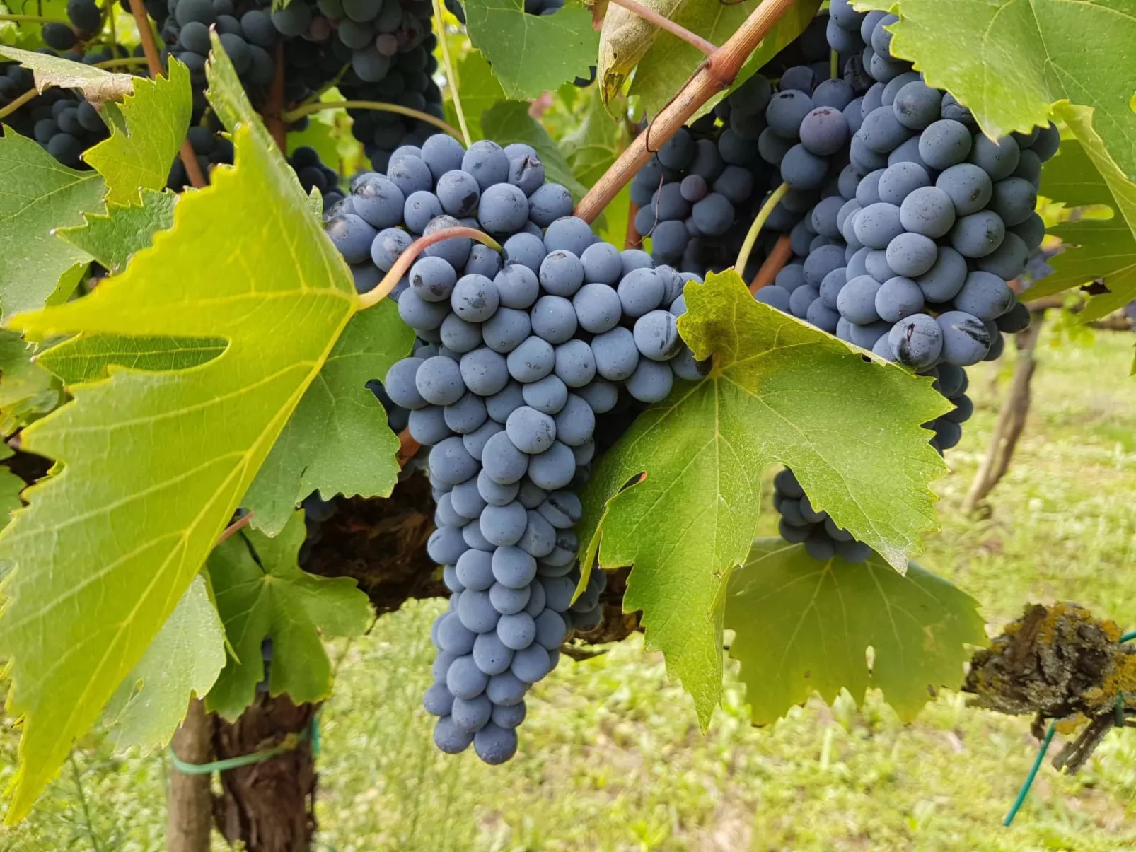 Apartement Molino-Image-tags.info