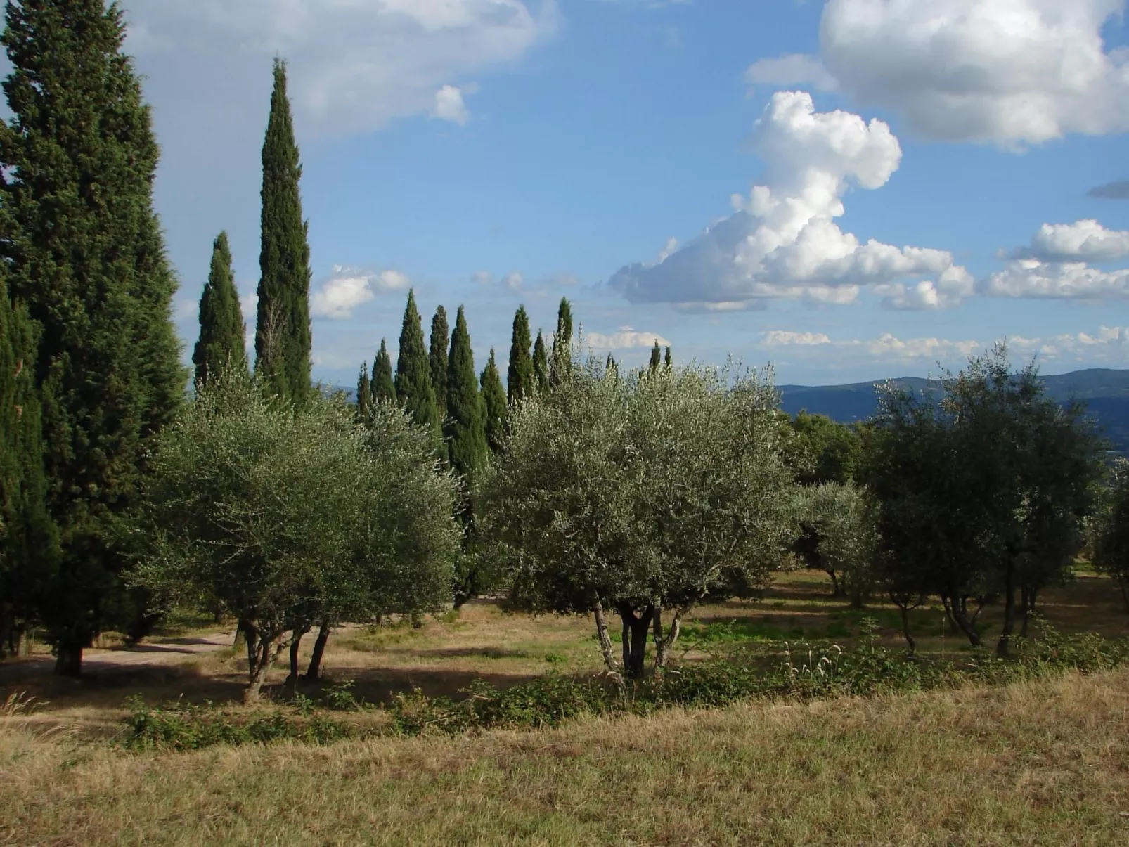 'La Torre' mit Terrasse-Image-tags.info