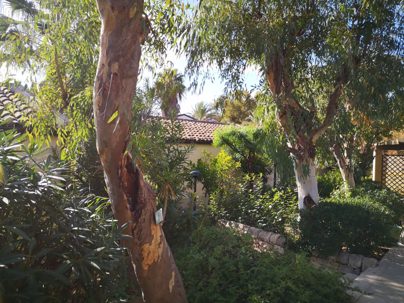 Schöner zentraler Bungalow direkt am Sandstrand auf Sizilien-Image-tags.info