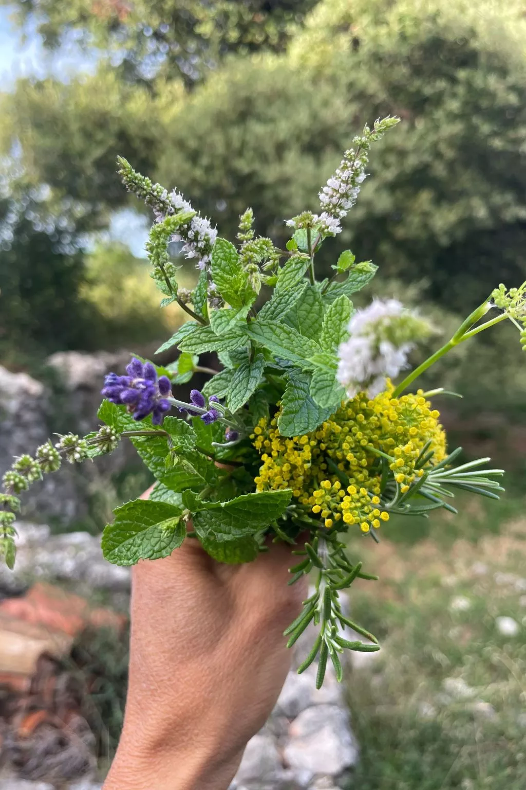 'Merula Antica Dimora'-Image-tags.info