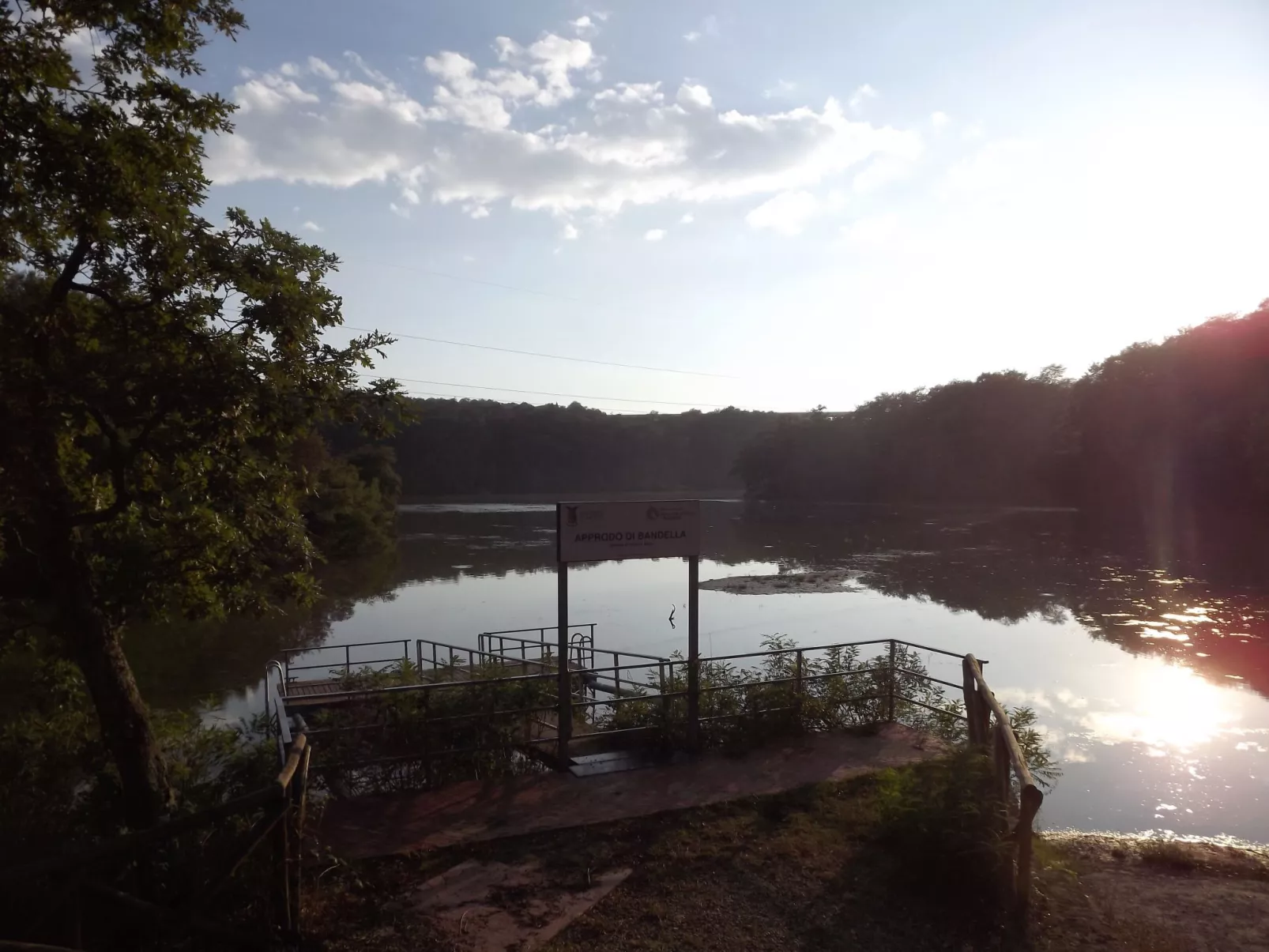 Flache Kornblume-Image-tags.info