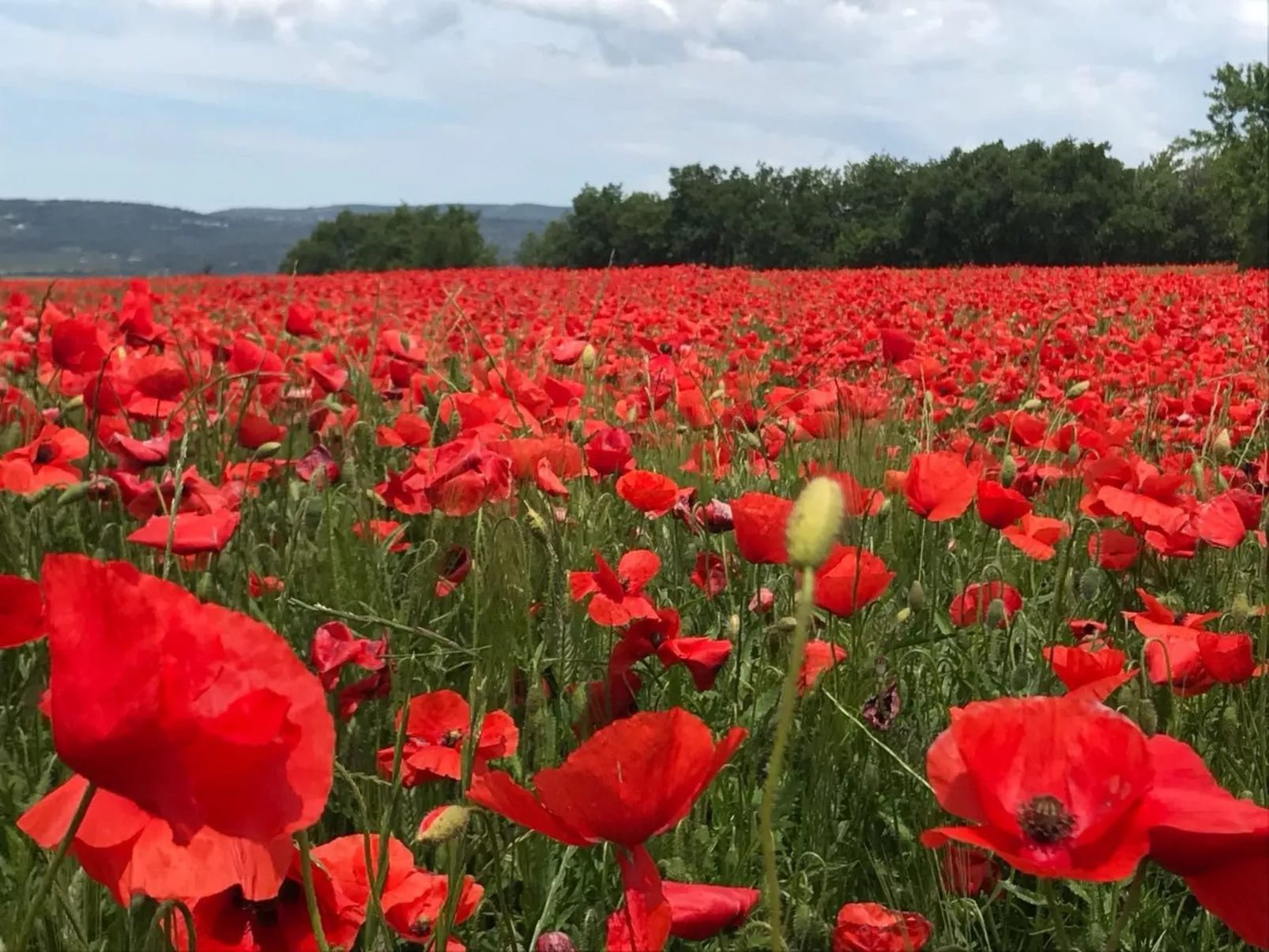Gemütliches Ferienhaus mit Pool und Meerblick-Image-tags.info
