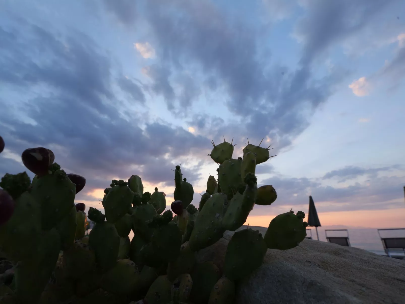 Schöne Ferienwohnung am Meer-Buiten