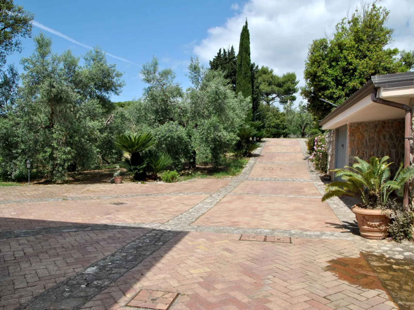 Weintrauben und Sterne Maison" Touristenunterkunft-Buiten