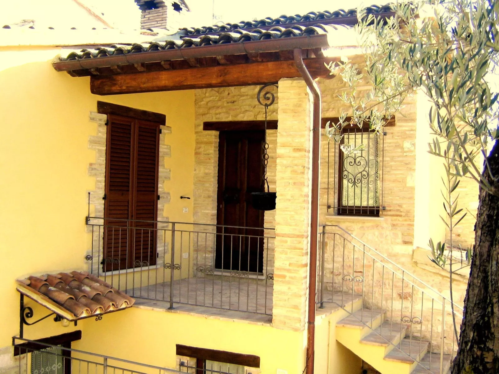 Girasoli in Cagli-Buiten