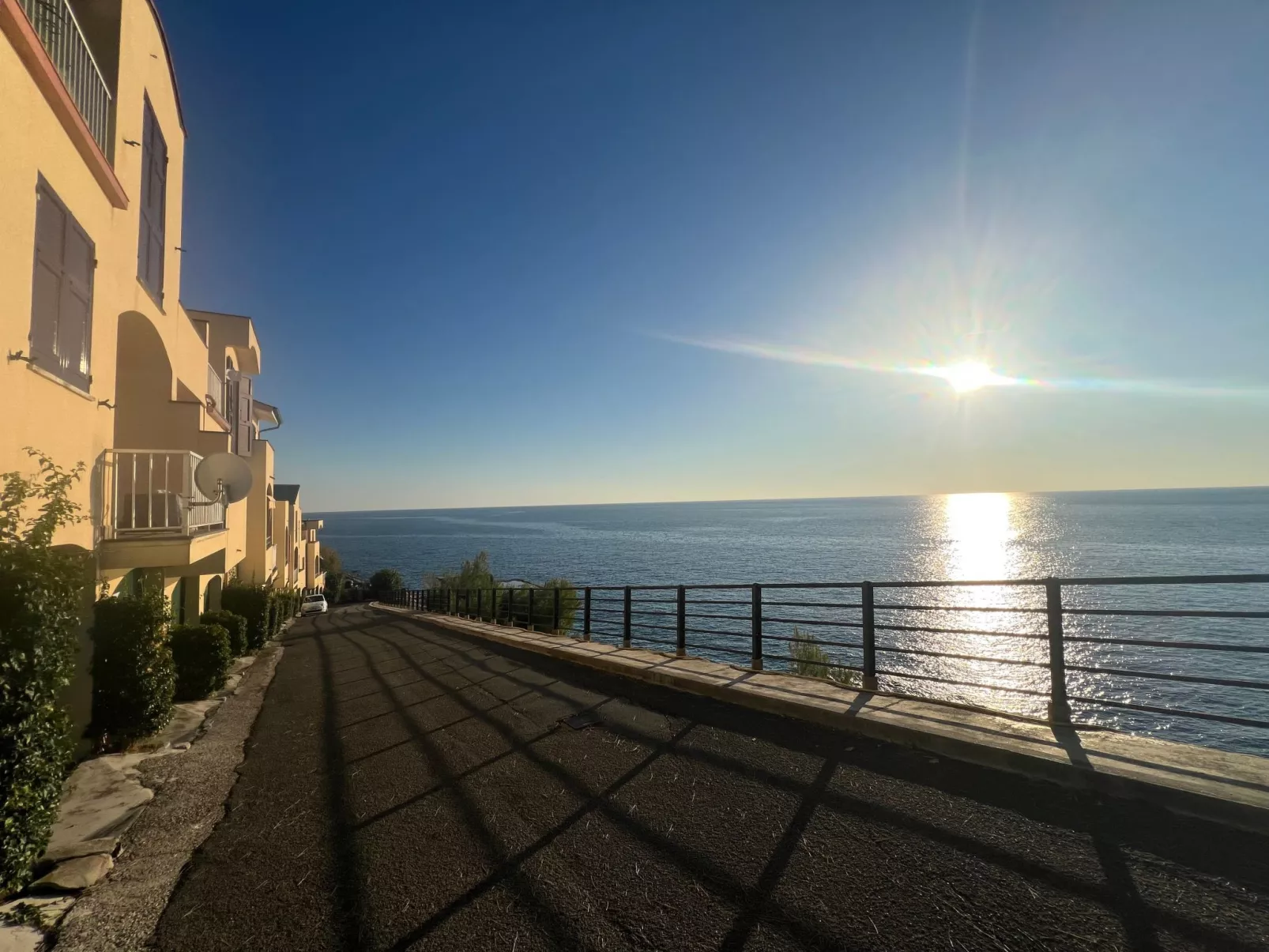 House Agave by Holiday World-Image-tags.info