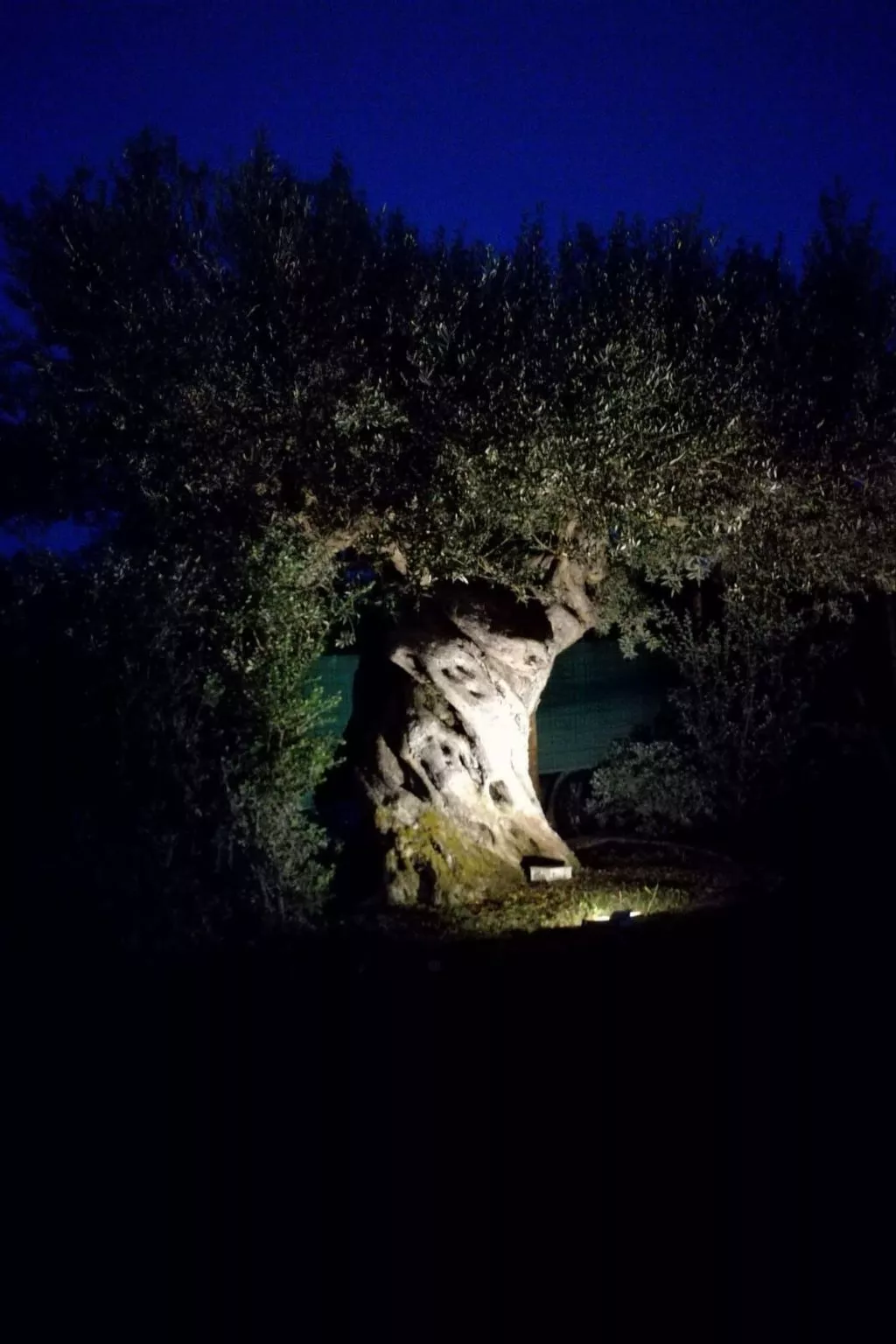 'Marc' mit Privatparkplatz-Image-tags.info