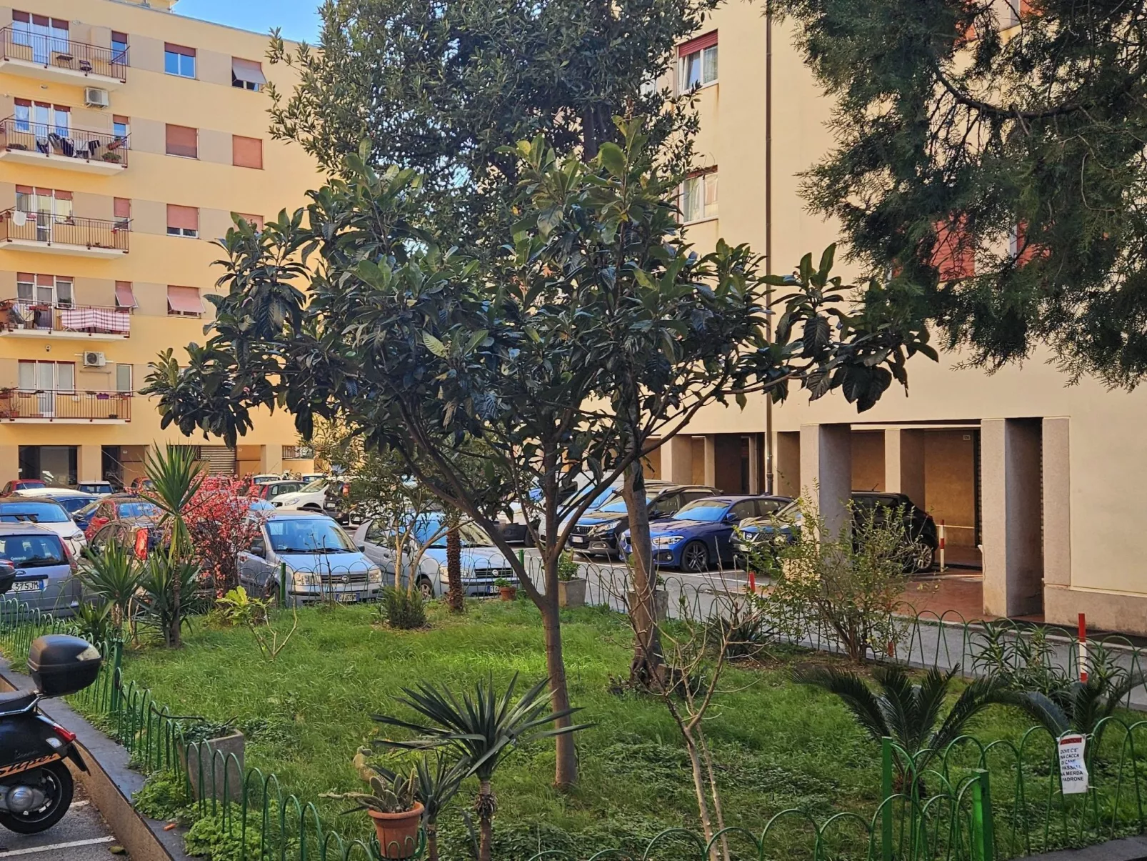 Oase des Friedens von Holiday World-Buiten