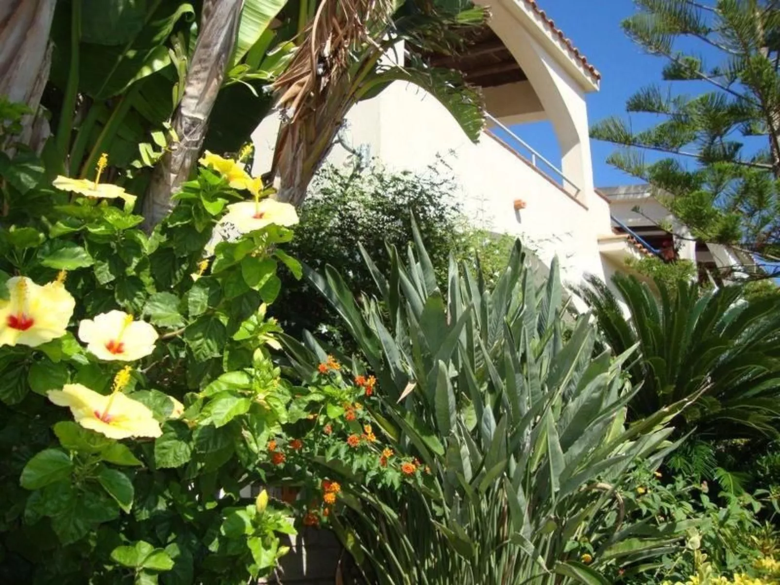 Renella' Wohnung mit Wasserblick-Image-tags.info