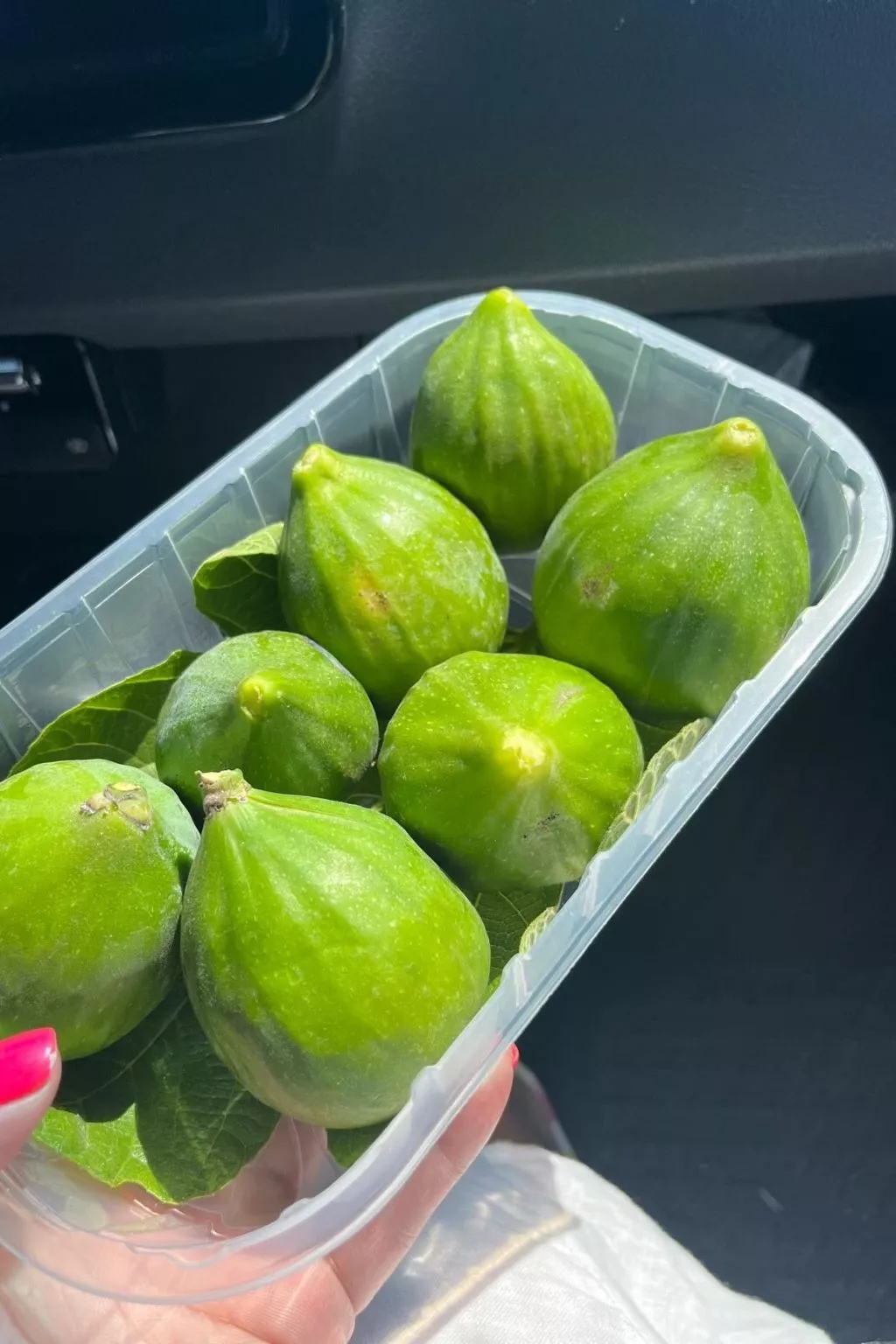 Villa Swistakko 2-Image-tags.info