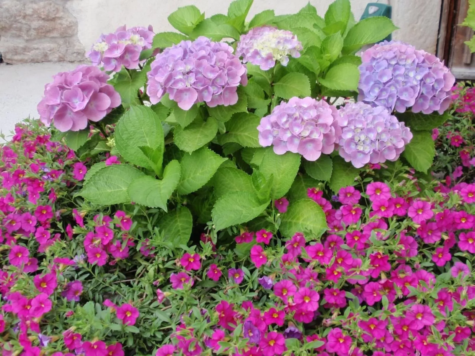 Traumhafter Rustico direkt am Ufer des Gardasees-Buiten