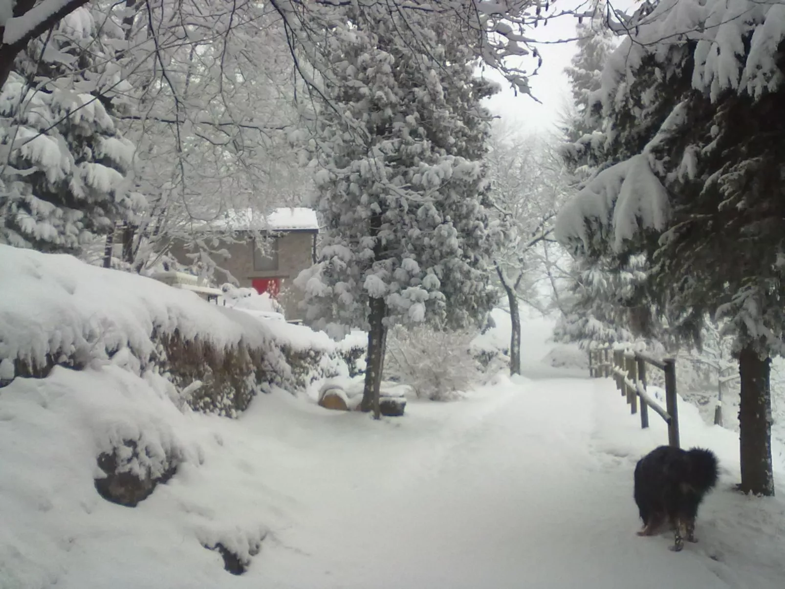 Niederwaldhaus in Solto Collina-Buiten
