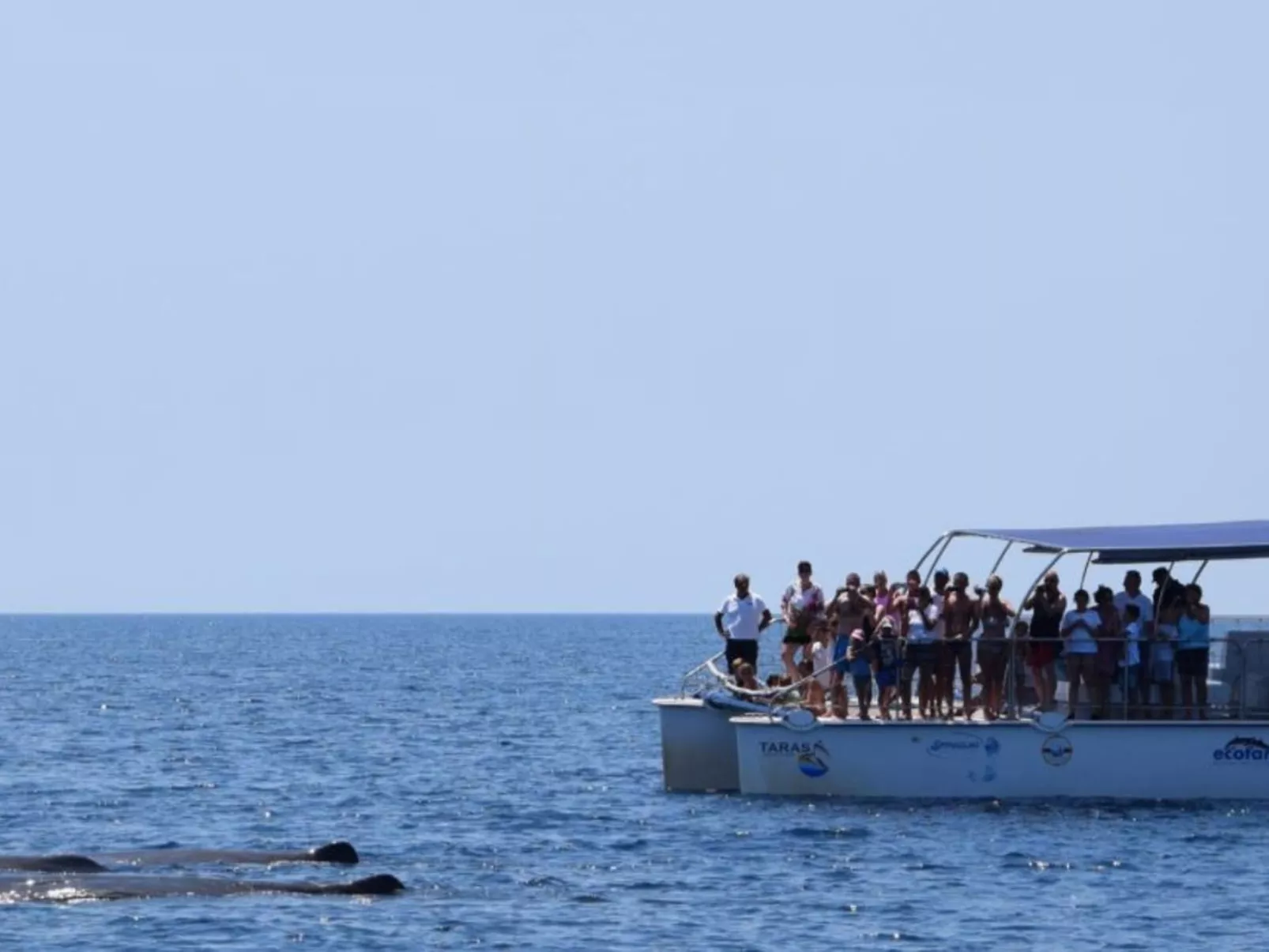 Villa Stella Cadente mit privatem Pool-Image-tags.info