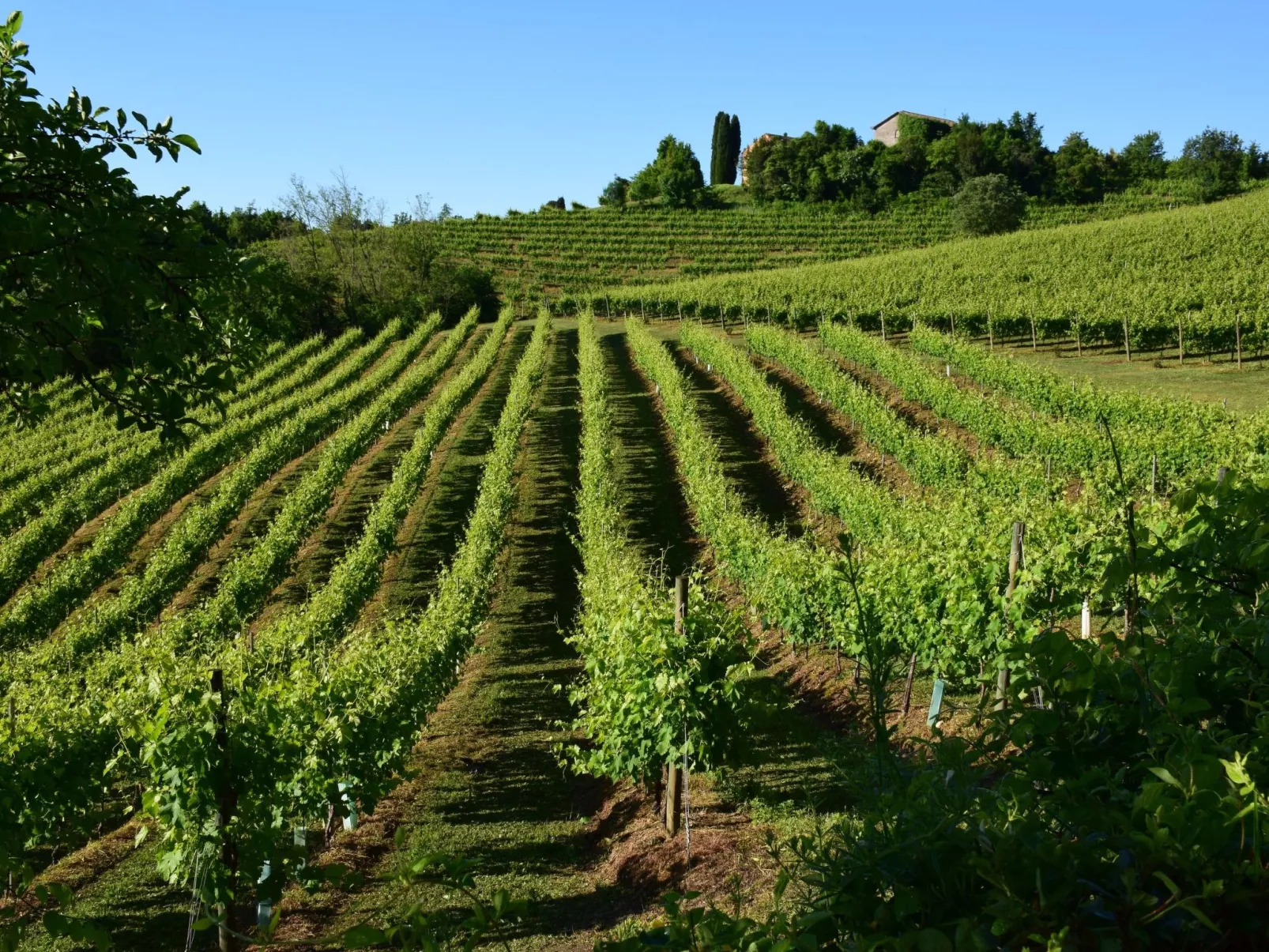 Agrotourismus - Wohnung mit Pool-Image-tags.info