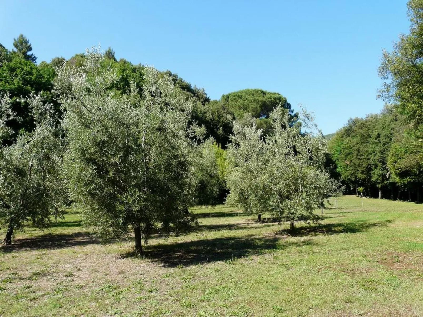 Molino Quadri 7-Buiten