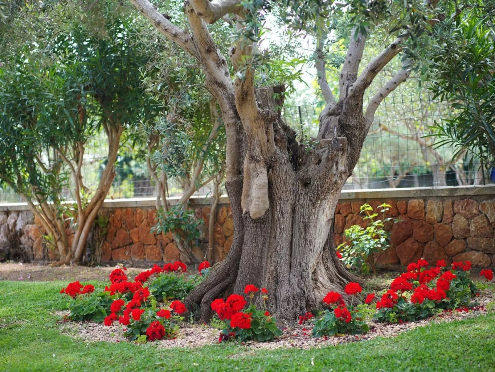 "Joan" mit privatem Pool-Image-tags.info