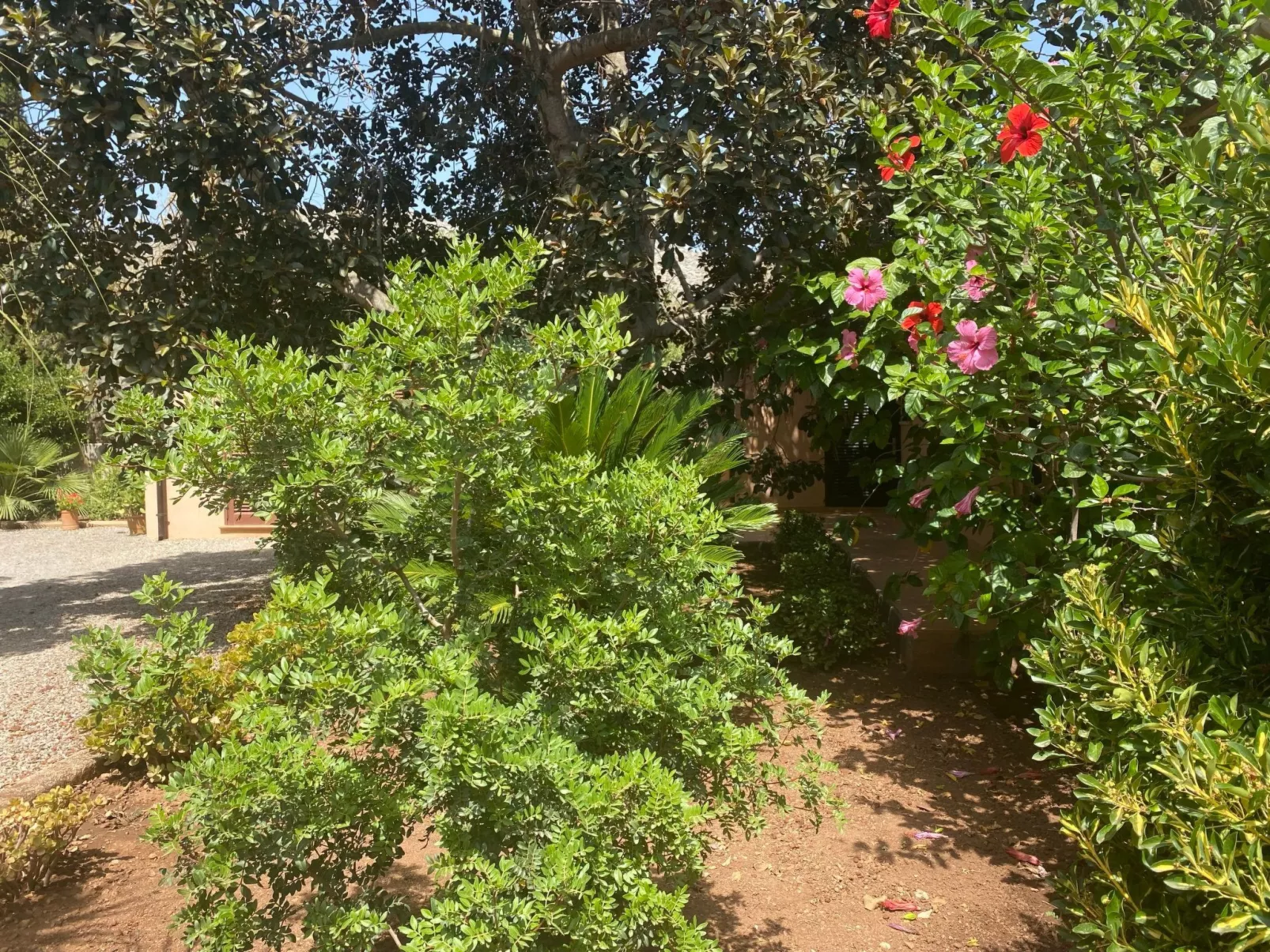 Finca mit Garten, Grill und Terrasse-Buiten