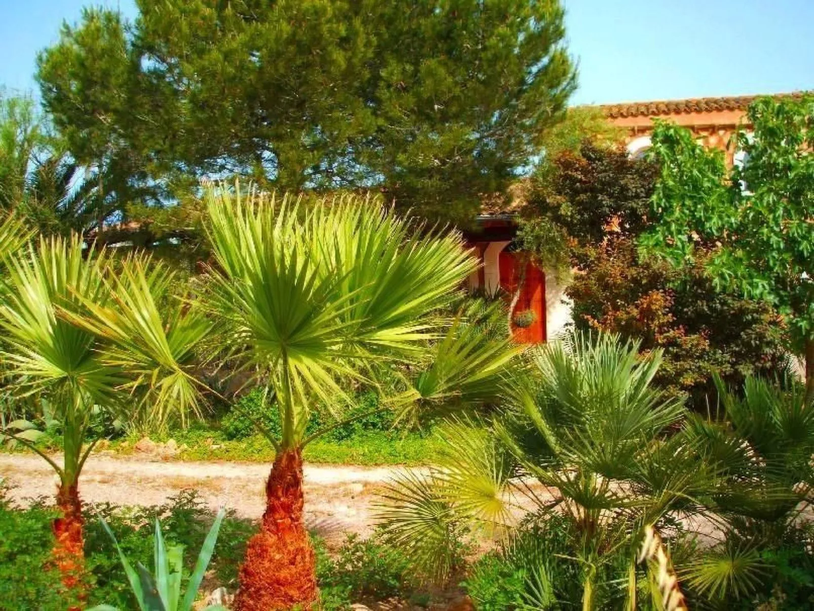 Finca Can Almendro-Buiten