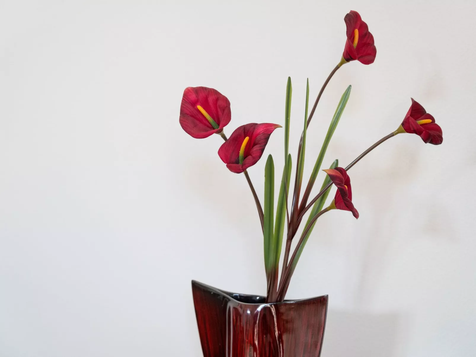 Wohnung 'Casa Sale' mit Bergblick-Image-tags.info