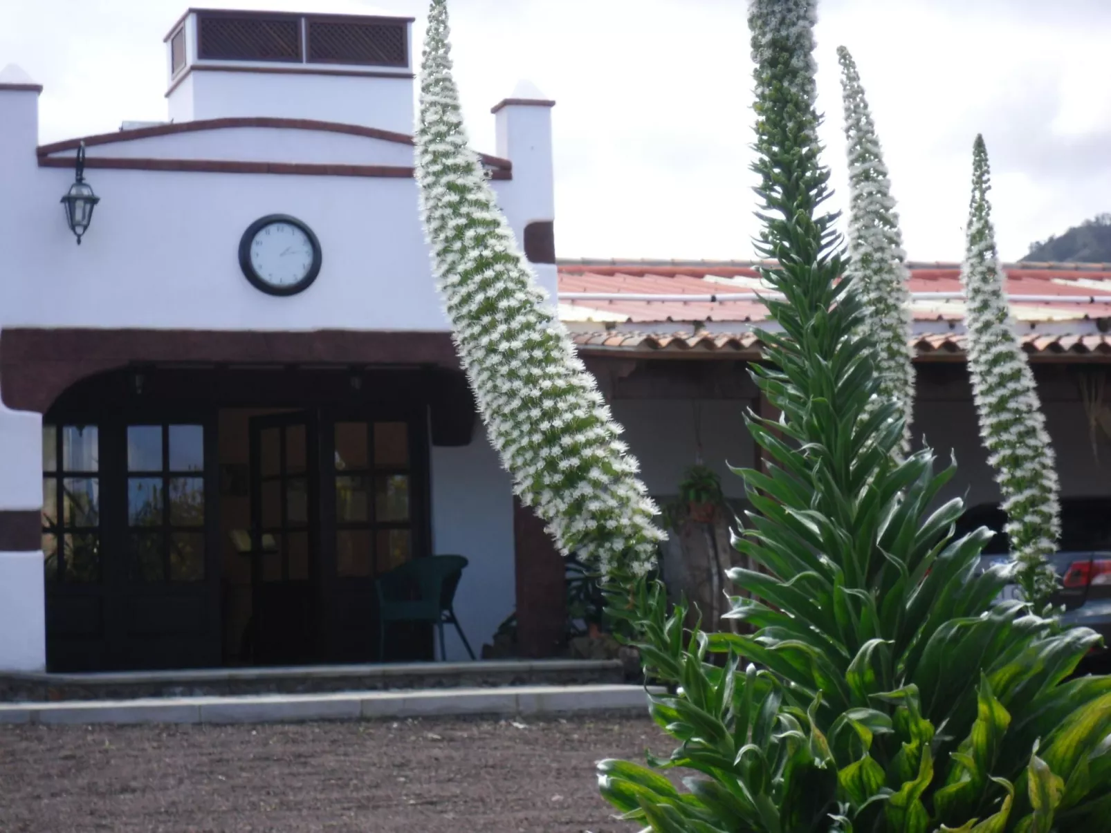 Urlaub in der Natur mit Meerblick-Buiten