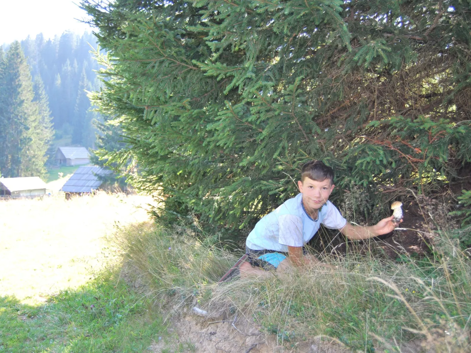 Holiday house Pokljuka - Bohinj-Buiten