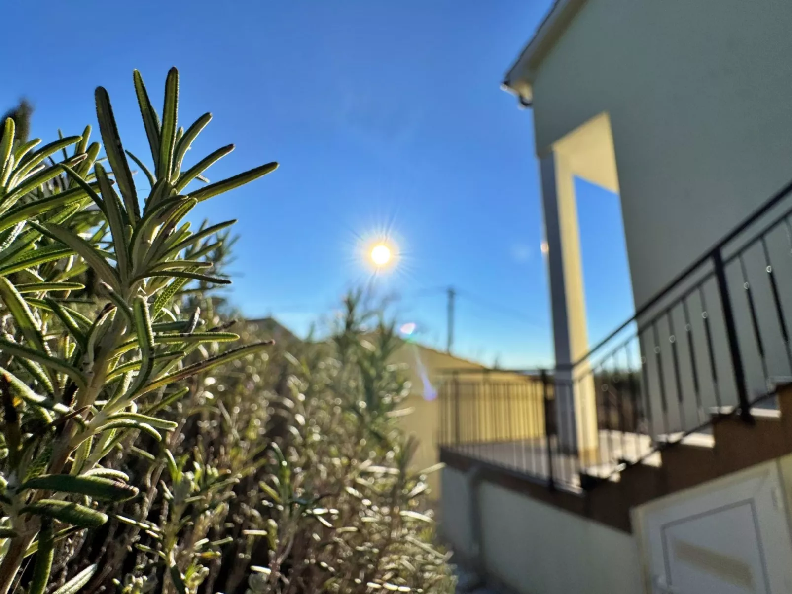 Apartment Pavle-Buiten